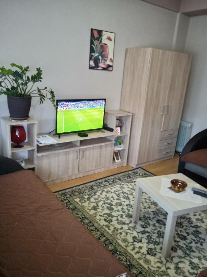 Apartman Nikolic Bor Exteriér fotografie