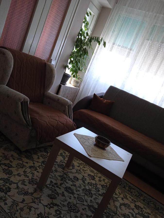 Apartman Nikolic Bor Exteriér fotografie
