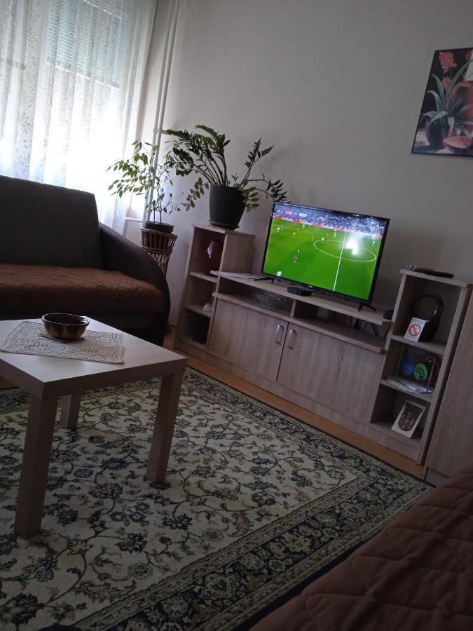 Apartman Nikolic Bor Exteriér fotografie