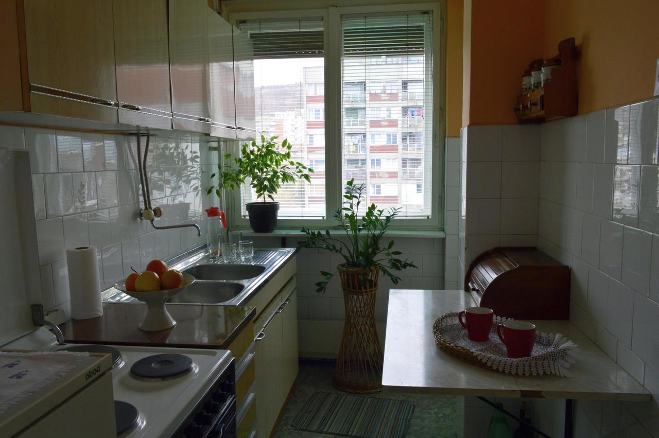 Apartman Nikolic Bor Exteriér fotografie
